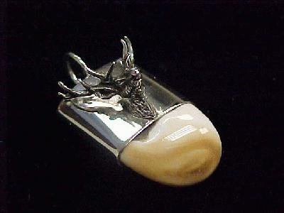 Elk Tooth